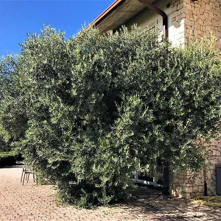 Valpolicella Hills Apartament Negrar