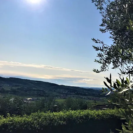 Valpolicella Hills نيغرار
