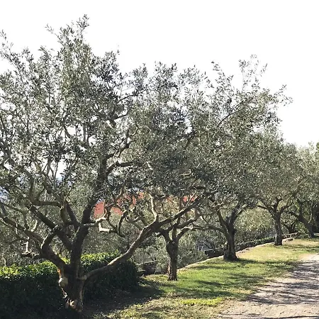 Valpolicella Hills شقة